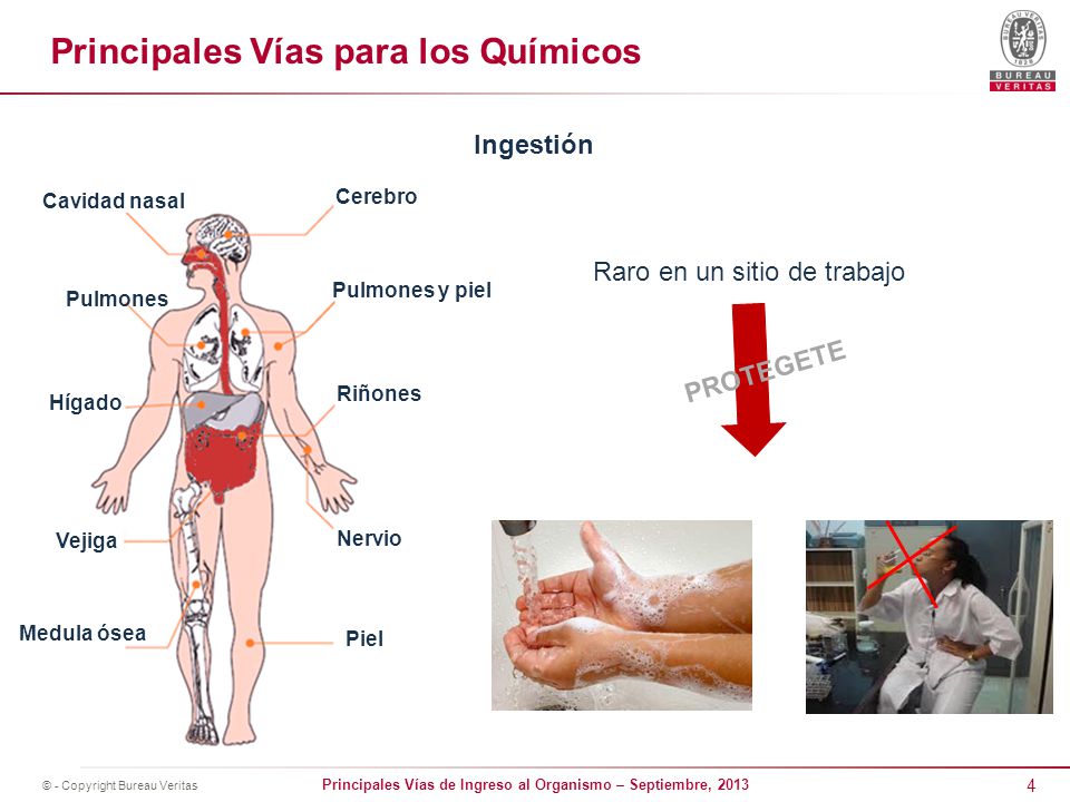 prohibido charla facial prohibido charla facial